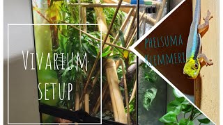 Vivarium Setup  Bamboo Forest for Phelsuma Klemmeri [upl. by Anivlem]