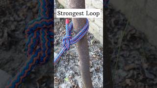 Strongest Ancient Loop Knot👍 [upl. by Etnad]