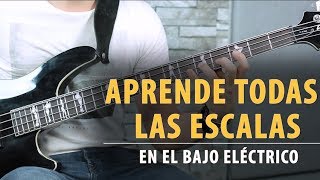 Aprende TODAS LAS ESCALAS en el Bajo en 9 Minutos  Tutorial [upl. by Ydnem]