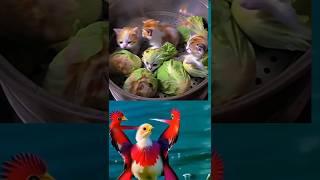 New trending birts dance shordsviral [upl. by Pandolfi375]