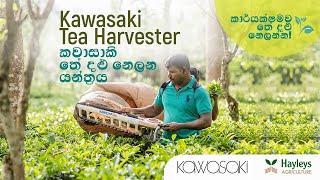 Kawasaki Tea Harvester By Hayleys Agriculture [upl. by Kenward963]