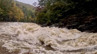 Kayaking the Headwaters of the Linville at High Water [upl. by Erlin527]