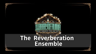 Library of Ruina  The Reverberation Ensemble Violin cover [upl. by Shaun]