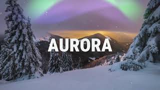 Introducing Aurora Winter Tyres  Albourgh [upl. by Erdnaek415]