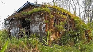 Three Men Clean 70YearOld Buried House and Give It a Second Life for Free [upl. by Micah]