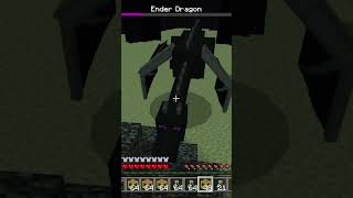 Minecraft defeating the ender dragon [upl. by Gaby498]