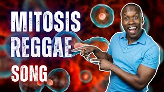 Mitosis Reggae Song  Cell Division but Actually FUN [upl. by Ahtan]