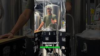 🍺 Behind The Scenes Where Beer Science Happens🍻 beer newbelgiumbrewing brusselsbelgium [upl. by Atilam]