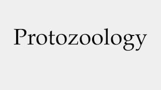 How to Pronounce Protozoology [upl. by Steffane]