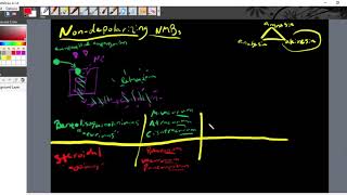 Intro to Nondepolarizing Neuromuscular Blockers [upl. by Ettezus]