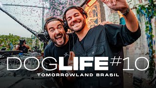 DOGLIFE 10  Tomorrowland Brasil [upl. by Oile730]