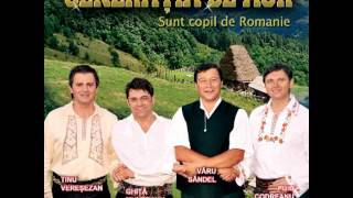 Ghita Munteanu  Pentru cine imi vrea bine  audio official CD quality [upl. by Jea205]