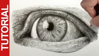 How to Draw a Realistic Eye  Graphite Pencil Tutorial [upl. by Coe910]