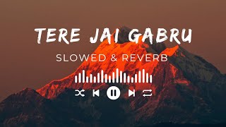 Tere Jai Gabru Mujra slowed and reverb full song [upl. by Grous340]