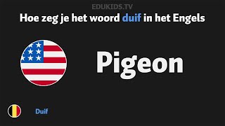 Hoe zeg je duif pigeon in het Engels [upl. by Antipas]