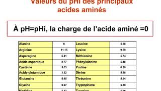 ACIDES αAMINÉS V4 PROPRIÉTÉS DES ACIDES αAMINÉS STÉREOISOMÉRIE ET PRORIÉTÉS SPECTRALES [upl. by Yhtnomit]