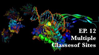 12 Multiple Classes of Sites  Molecular Pharmacology [upl. by Tigirb]