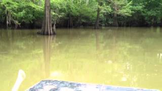 Lake Marydale  tensas parish [upl. by Aurelius]