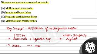 11 Nitrogenous wastes are excreted as urea in 1 Molluscs and mammals 2 Insects and bony fish [upl. by Aleahpar]