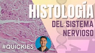 Histología del Sistema Nervioso Neuronas Capas Cerebrales Astrocitos y más [upl. by Juli]