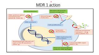 TRANSPORT ATPase  PRIMARY ACTIVE TRANSPORT  ACTIVE TRANSPORT TYPES PART2 [upl. by Malory]