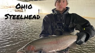 Steelhead Fishing With Minnows Ohio Steelhead [upl. by Hunley904]