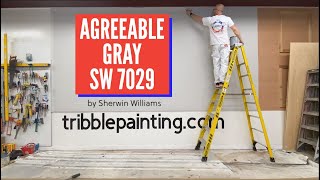 Agreeable Gray SW 7029 by Sherwin Williams [upl. by Sardella]