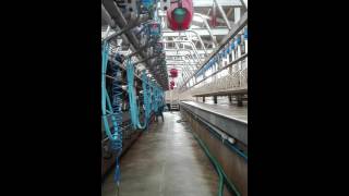 fullwood milking parlour 5025 unit swingover [upl. by Erik]