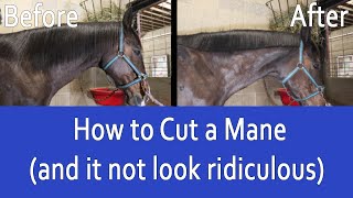 How to Trim a Horses Mane with Scissors and make it look AMAZING [upl. by Tipton291]