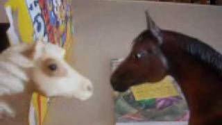 Breyer Horse Movie  FOOOOD [upl. by Edie358]