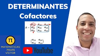 Determinantes por menores y cofactores de una Matriz ¿Qué son ✍ Ejercicios  😲 [upl. by Leamse220]