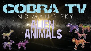 No Mans Sky ★ variations in alien animals [upl. by Cad]