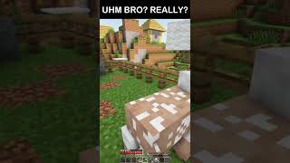 Just Sheeps minecraft shorts minecraftshorts [upl. by Waylon]