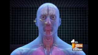 Silicosis Symptoms and Cure  Segment 1  Health 1st  DrShivraj Sharma [upl. by Innig306]