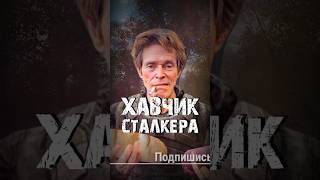 STALKER  Хавчик Сталкера Рассказчик Сидорович stalker сталкер [upl. by Aicelav]