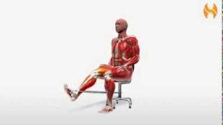 Exercise Videos Band Leg Extension  Seated [upl. by Aholla]