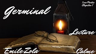 Lecture Audio pour bien dormir  Ã‰mile Zola  Germinal  Partie 1 Chapitre 1 [upl. by Siuqramed]