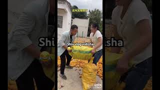 Funny video chinese log ki pita 😂😂 funny movieclips funnyclip tranding comedy [upl. by Aleyam]