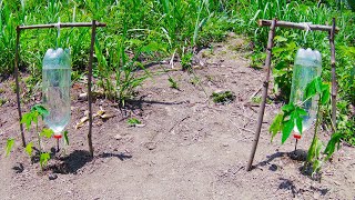 Como HACER RIEGO POR GOTEO CASERO Y AUTOMÁTICO con Botellas de Plástico Reciclado PASO a PASO [upl. by Aleahc242]