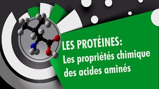 BioSnap 18  Proprietés Chimiques des Acides Aminés Transamination [upl. by Sicnarf]