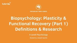 Revision Webinar Biopsychology – Plasticity amp Functional Recovery Part 1 Definitions amp Research [upl. by Solly291]