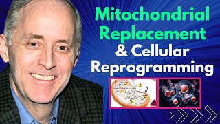 Mitochondrial Replacement amp Cellular Reprogramming For Life Extension  Tom Benson Interview [upl. by Lecroy]