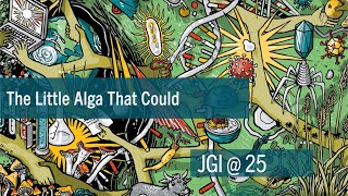 JGI25 The Little Alga That Could [upl. by Rubi]