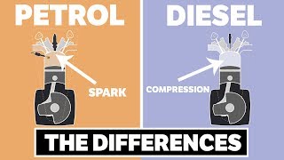 The Differences Between Petrol and Diesel Engines [upl. by Seel699]