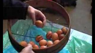 2008 Shepton Beauchamp School  Shackling Eggs [upl. by Tyrrell]