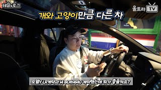 BMW i4 eDrive40 VS 테슬라 모델Y롱레인지 둘중에 뭐 살까요│구독자질문 울트x로그 [upl. by Anwahsed]