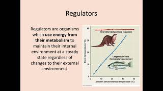 Higher Biology  24 Metabolism in Conformers and Regulators [upl. by Flore81]