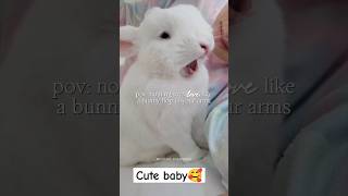 Rabbit daily routine❤rabbit videocute bunny videoyoutubeshorts rabbit short cute shorrfeed [upl. by Erreid]