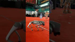 Robo Dogs 🔥 robots expo 😍  Goofy Boy [upl. by Natie]