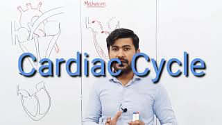 Cardiac Cycle  Mechanism of Excitation  ECG  Phases of Cardiac Cycle  FSc Class 11 Biology [upl. by Scrogan]